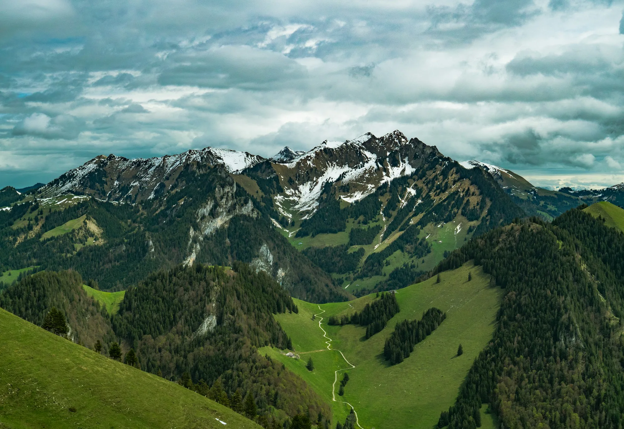 Green slopes and forest below a mountain range