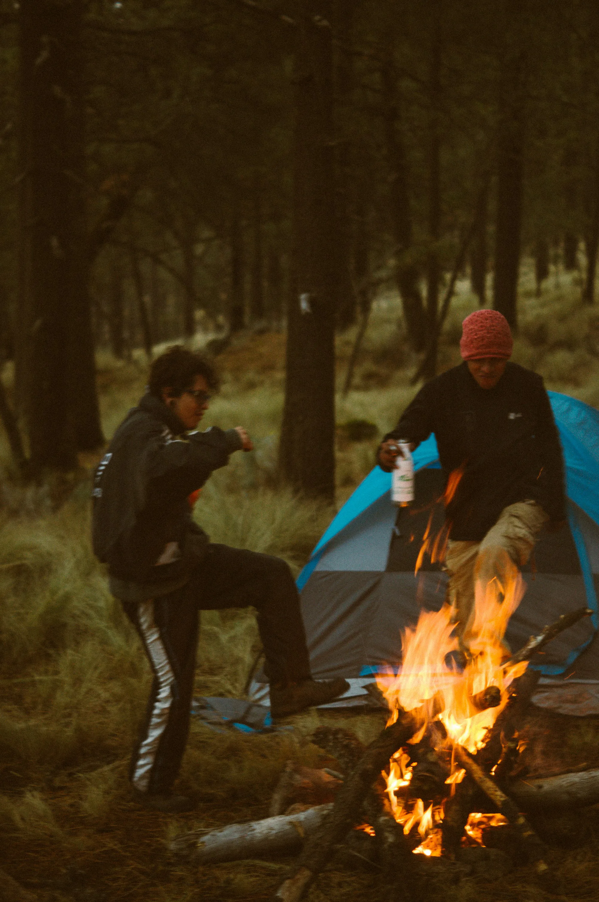 Two campers by a fire beside a tent in a forest