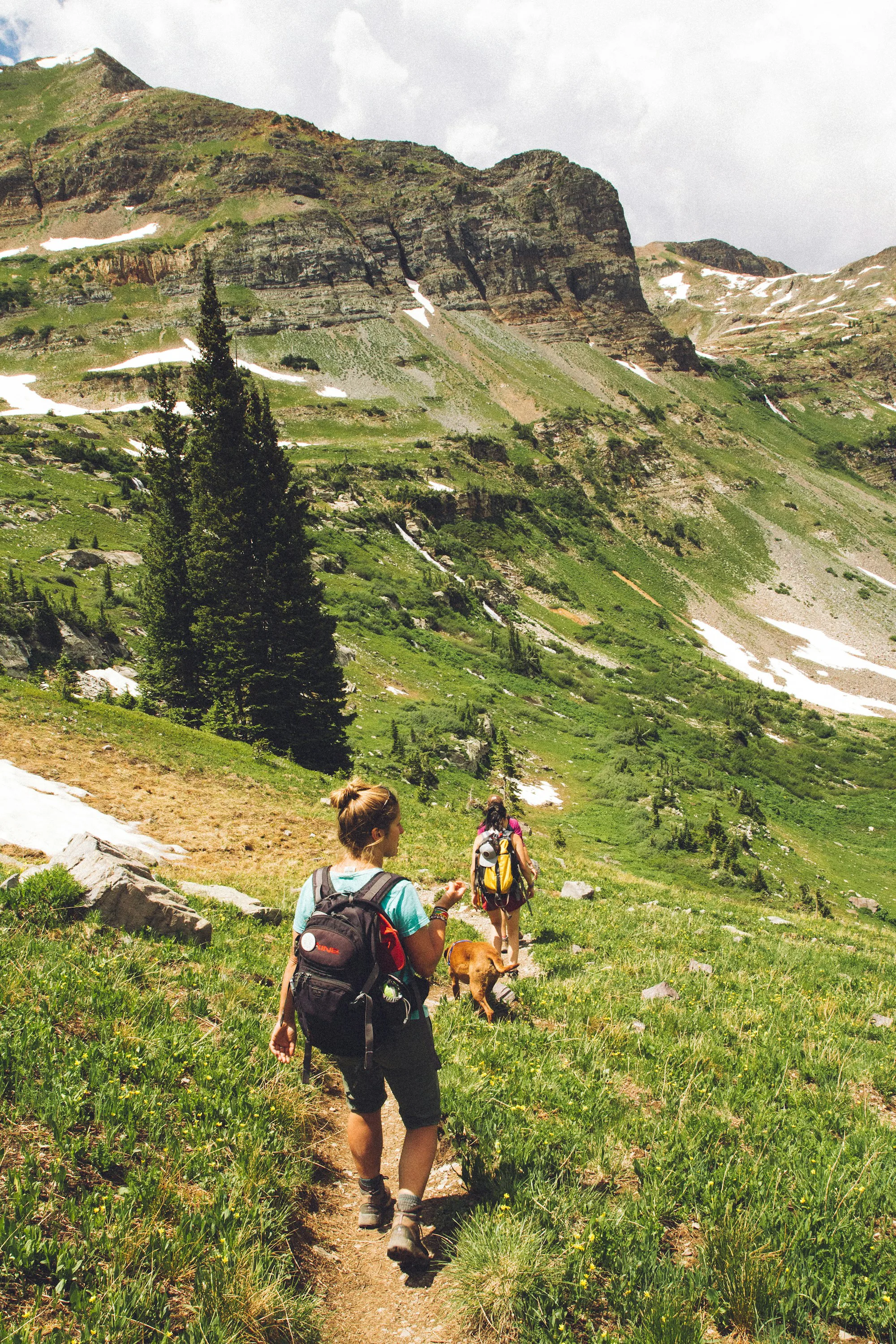 Two hikers and a dog on a green mountain trail