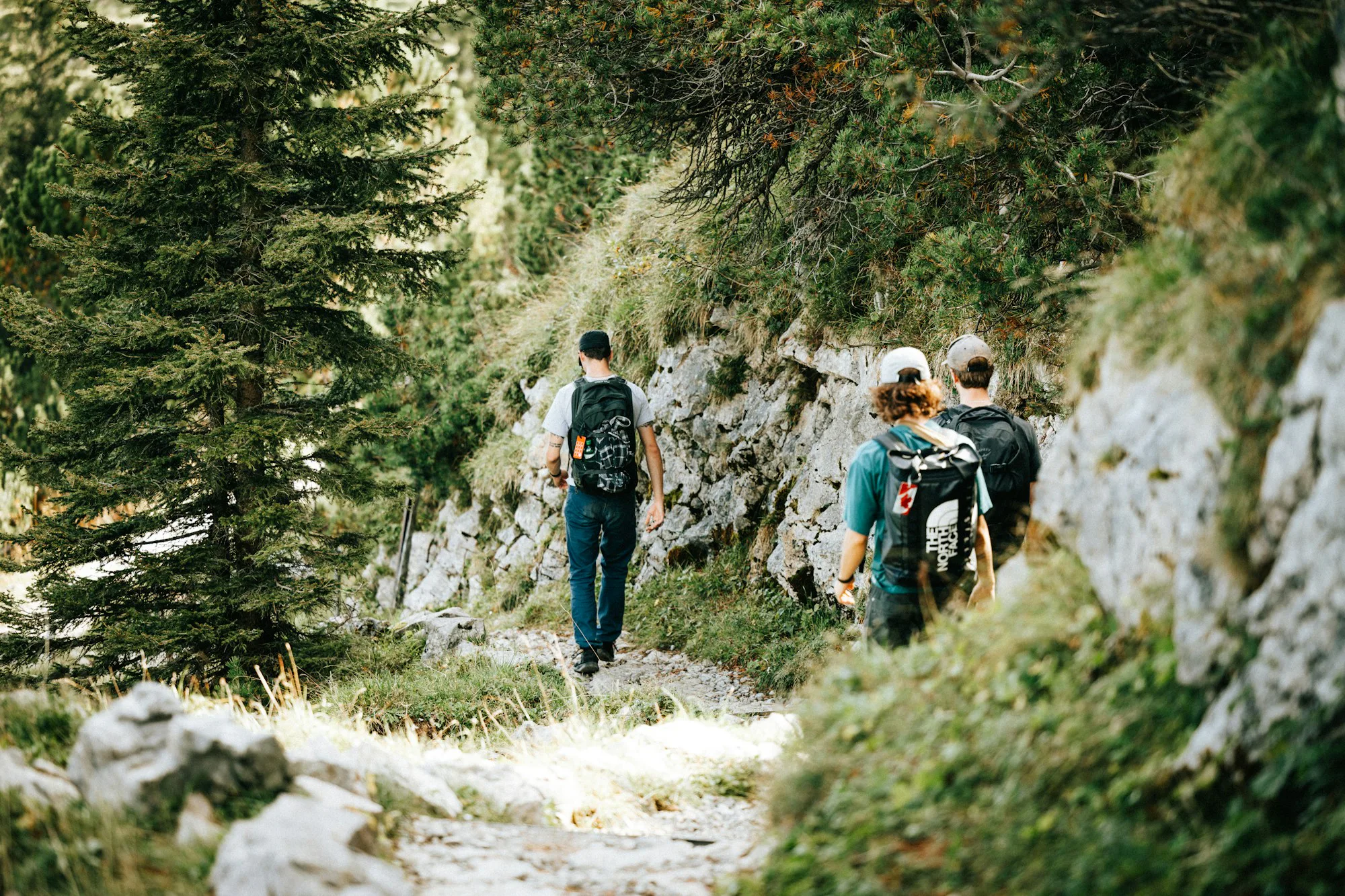 Three hikers walking up a rocky path through the forest