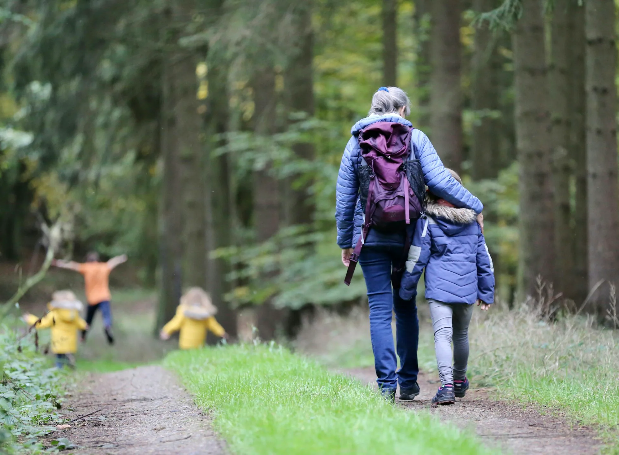 An adult and children walking along a forest path