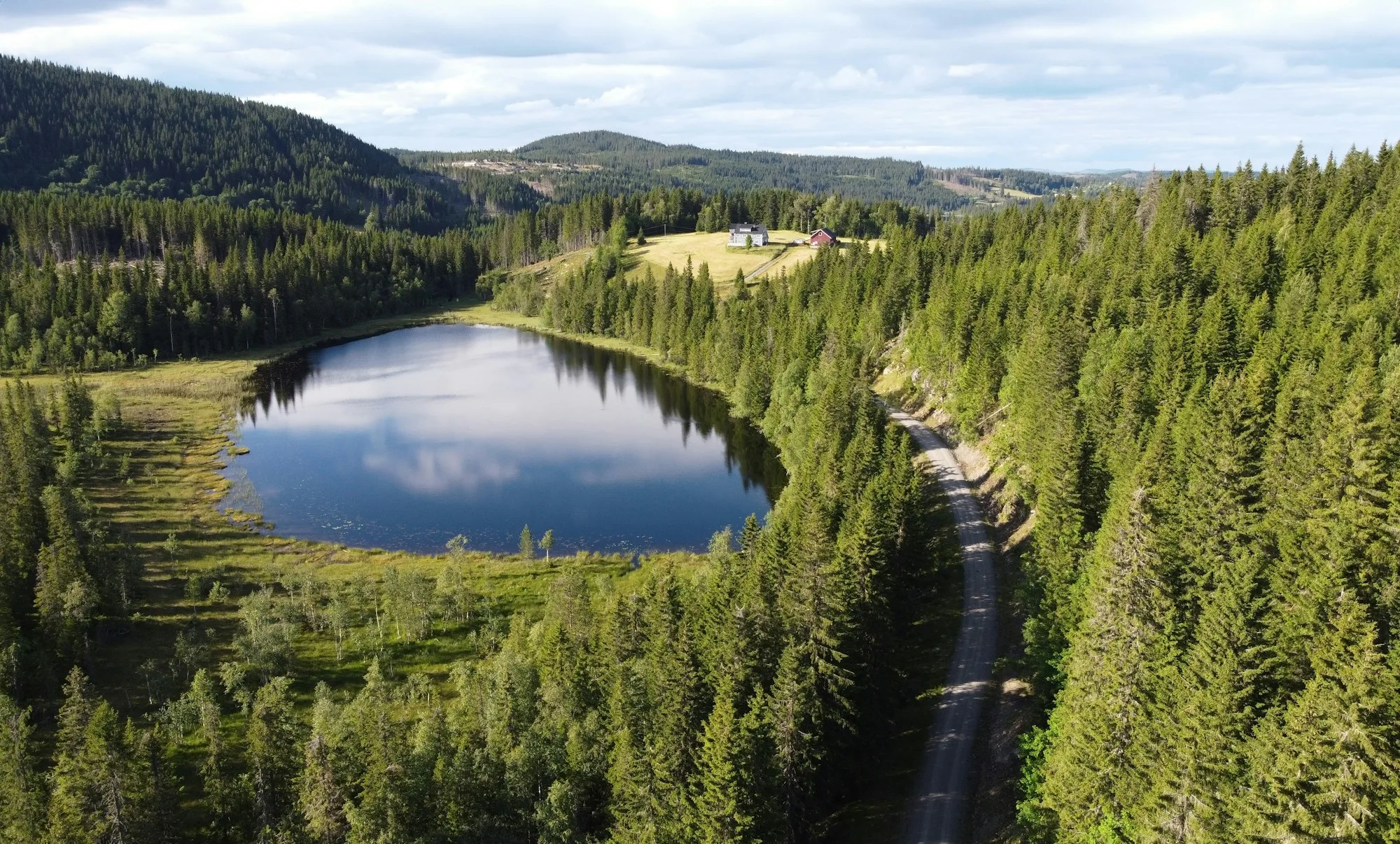 An aerial view of a round forest lake beside a winding road