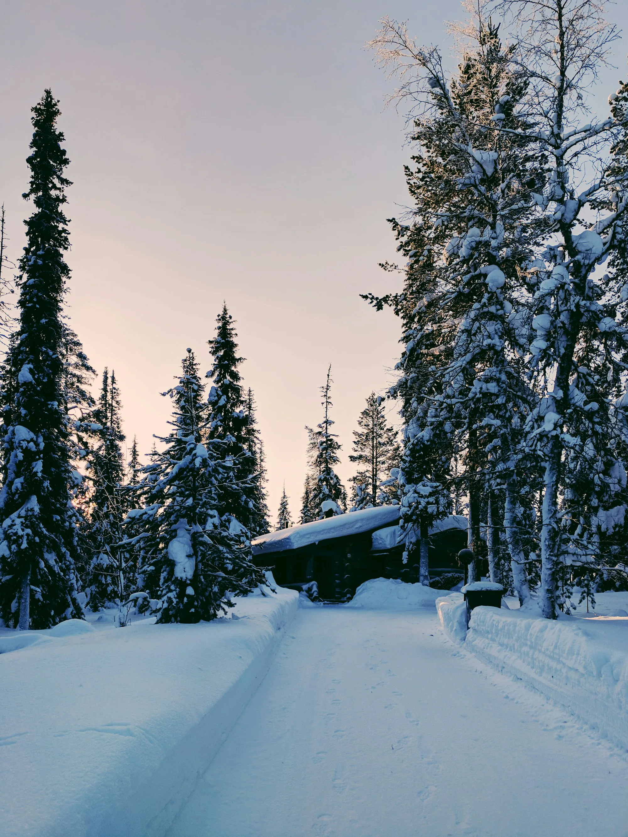 A snow-covered wooden cabin among frosted spruce trees