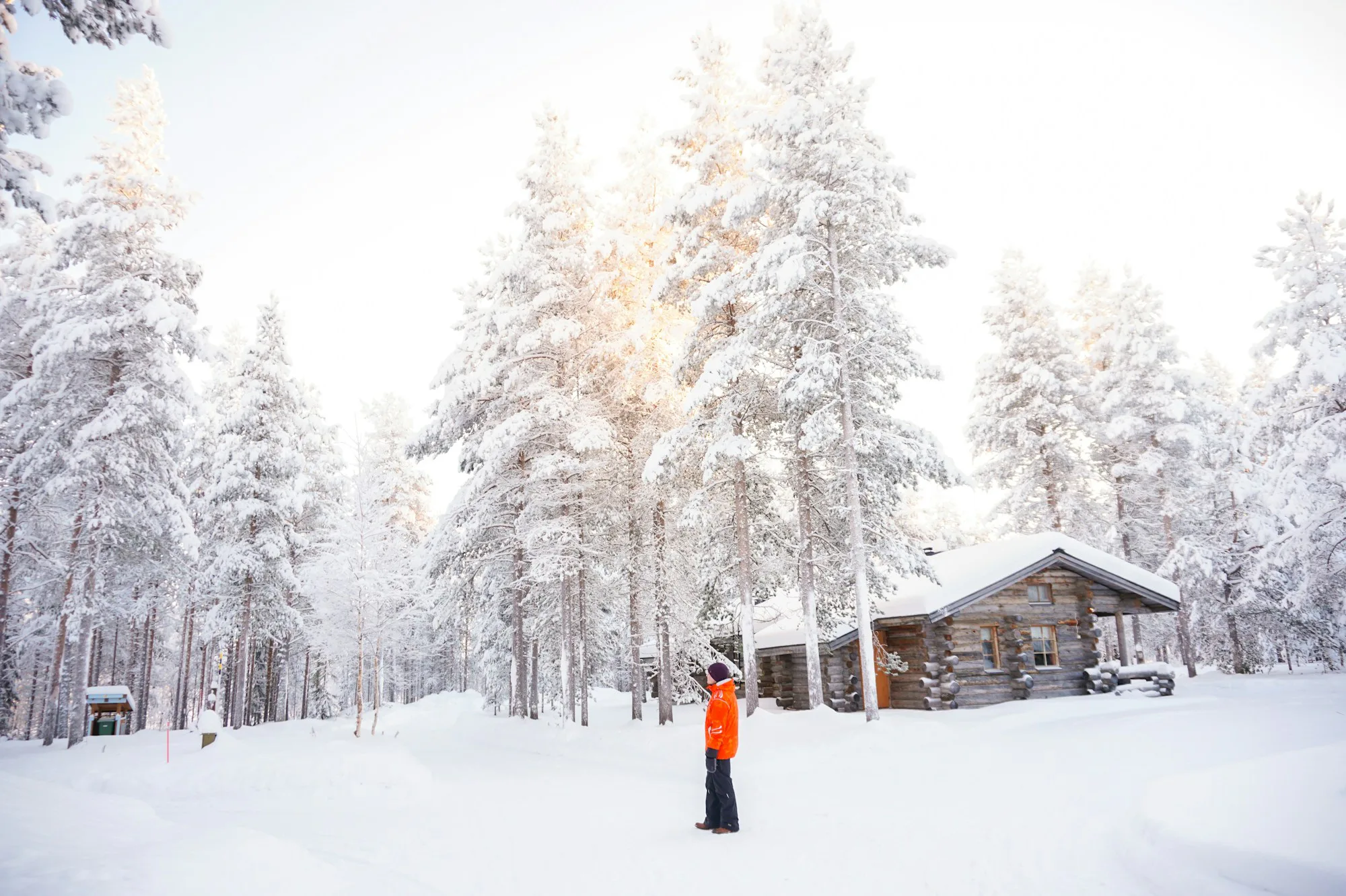 A skier in an orange jacket by a wooden cabin among snowy trees