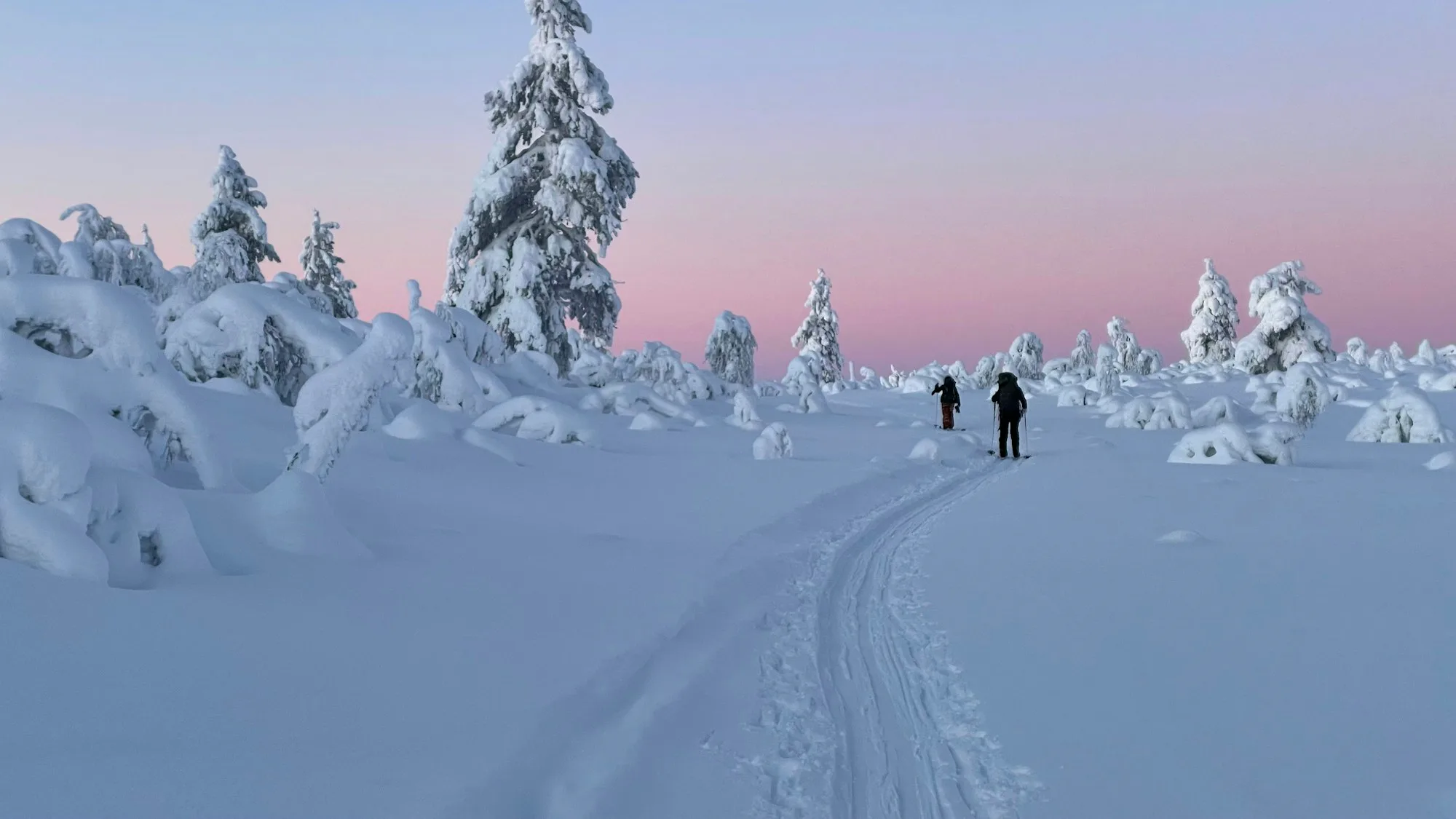 Cross-country skiers on a snowy fell trail under a pink sky