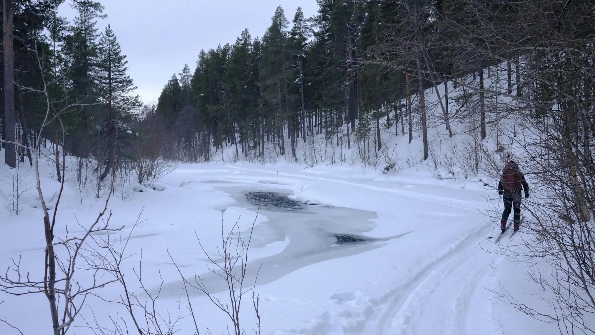 A skier on a frozen lake beside a snowy forest
