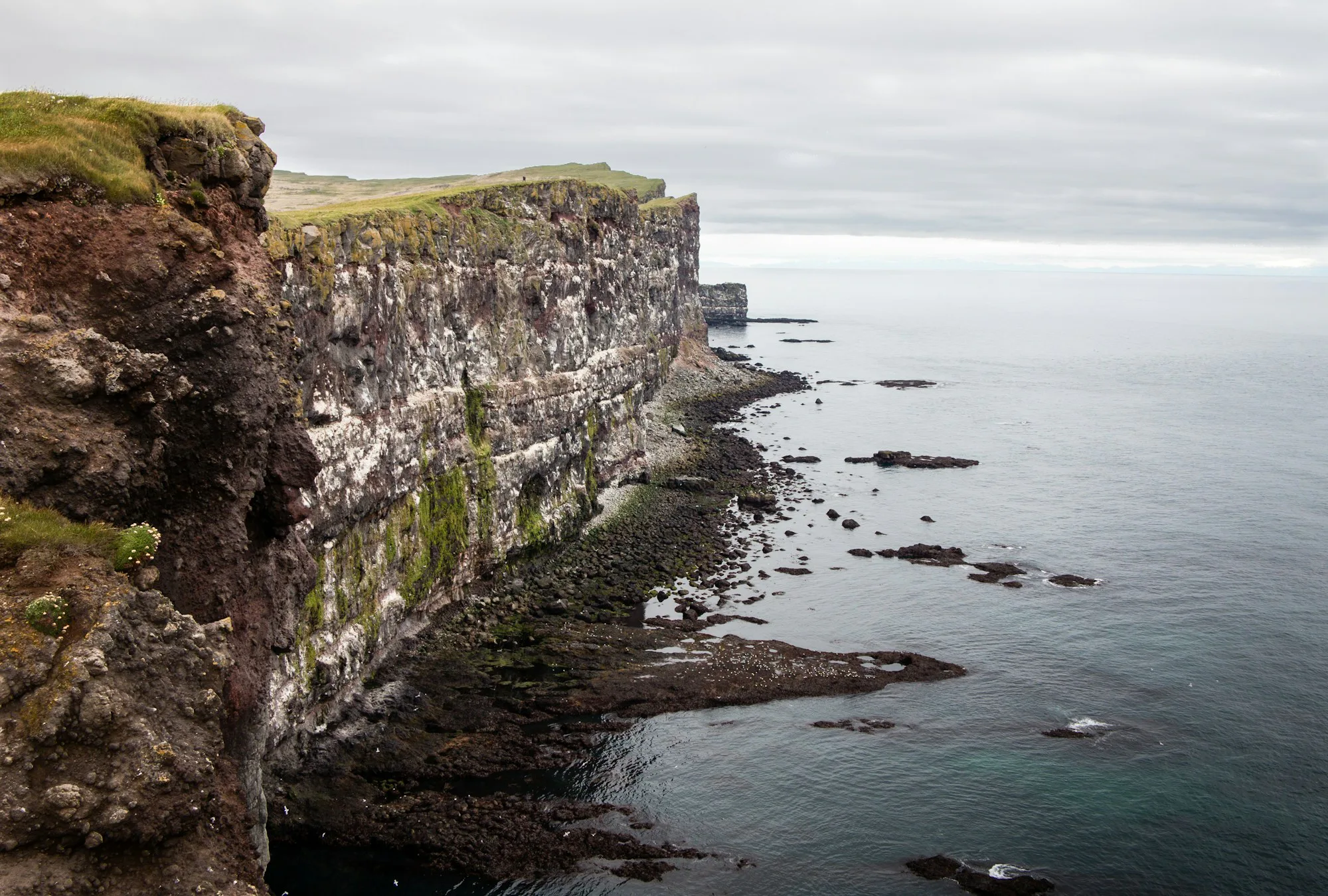 Seabird cliffs dropping into a calm sea
