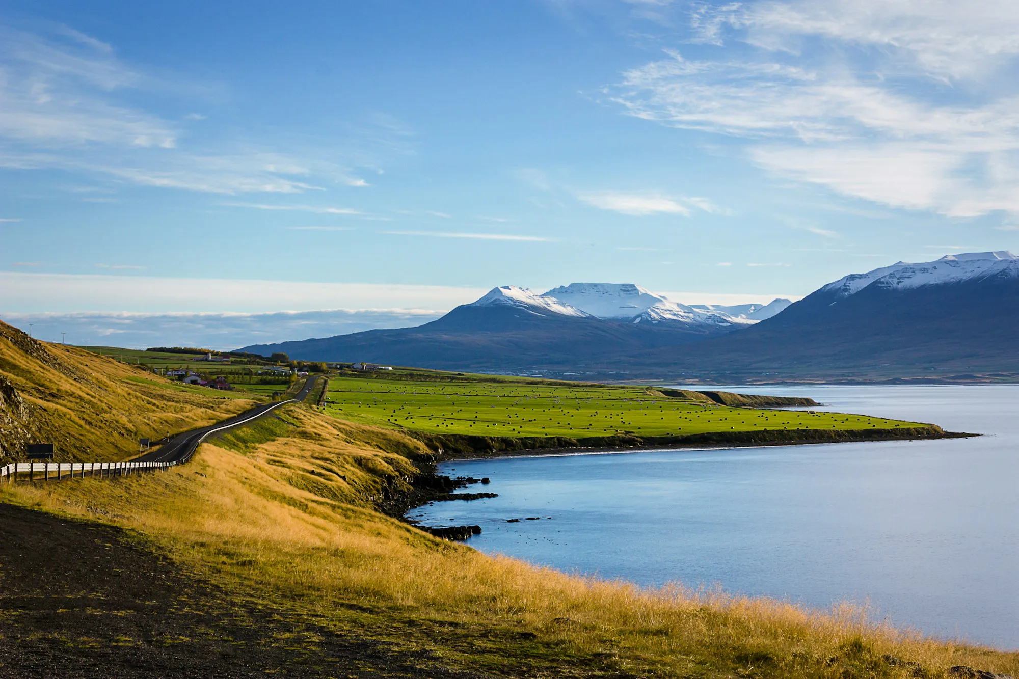A green shore and blue lake below mountains in Iceland