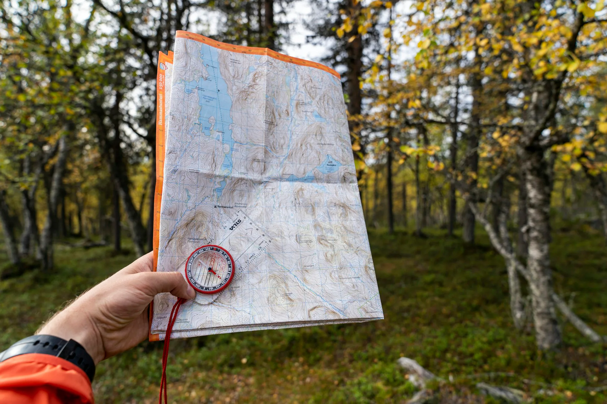 A hand holding a map and compass in a forest