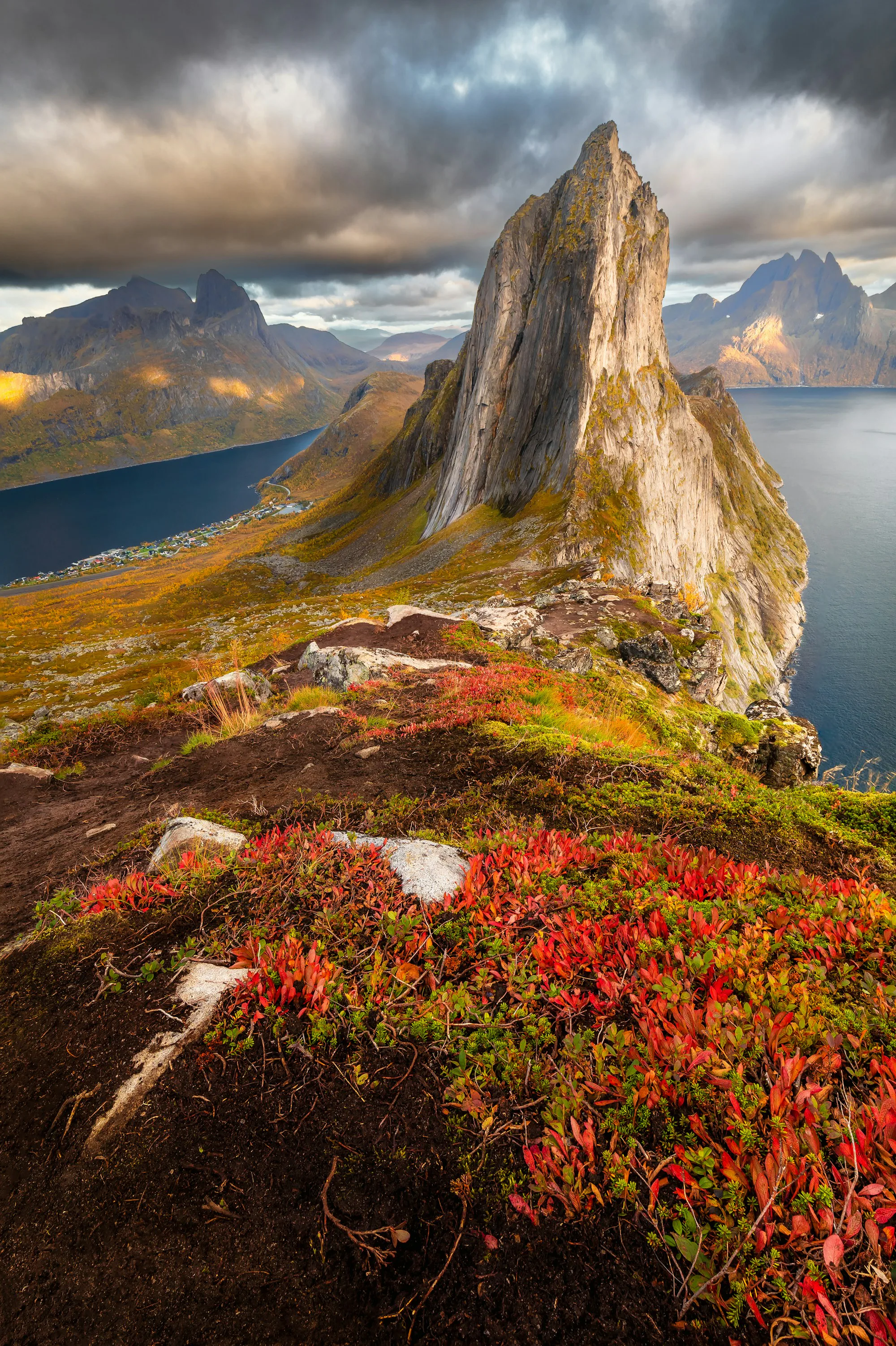 Red and gold autumn slopes above a fjord below a steep peak on Senja