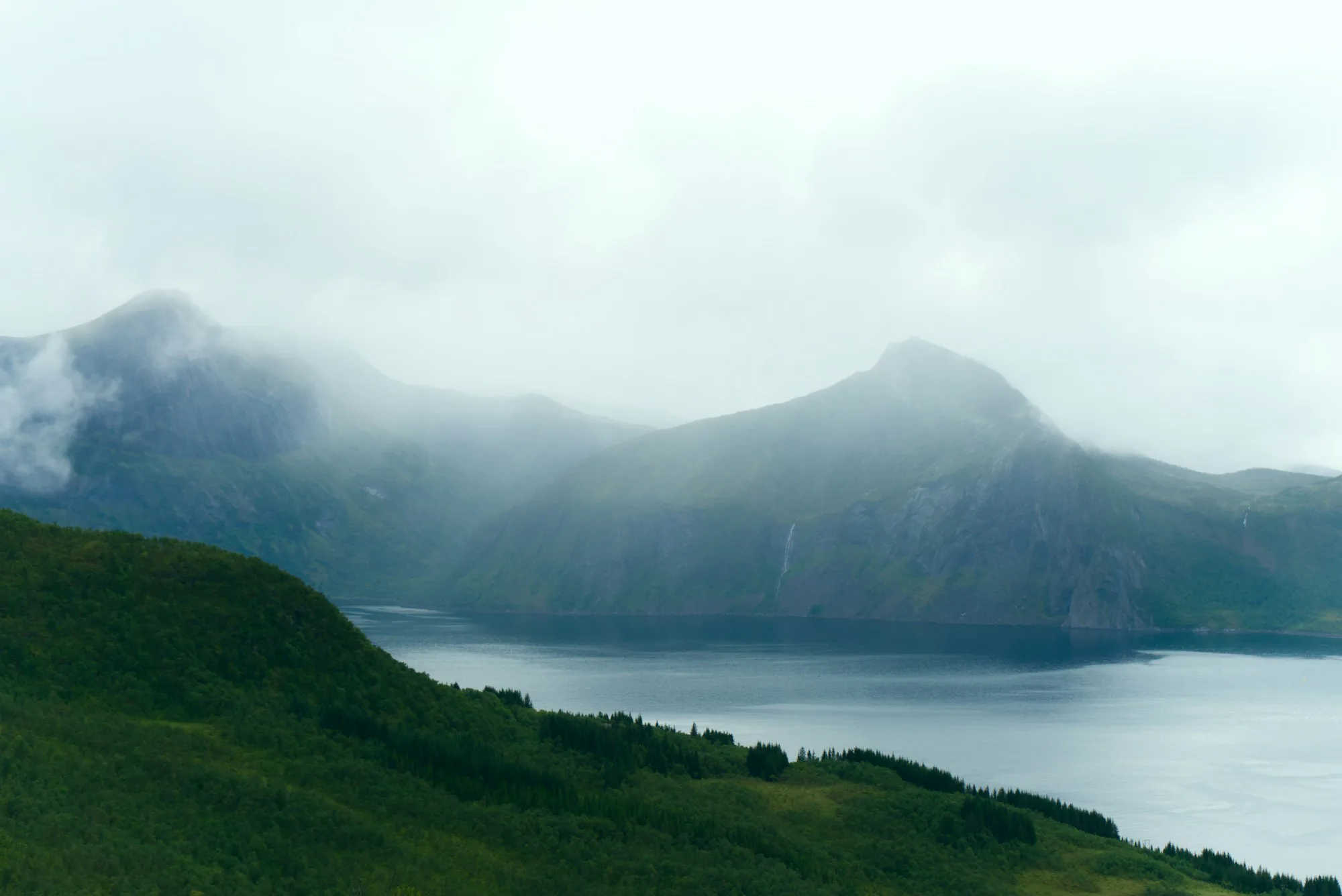 Mist over a green fjord and mountains