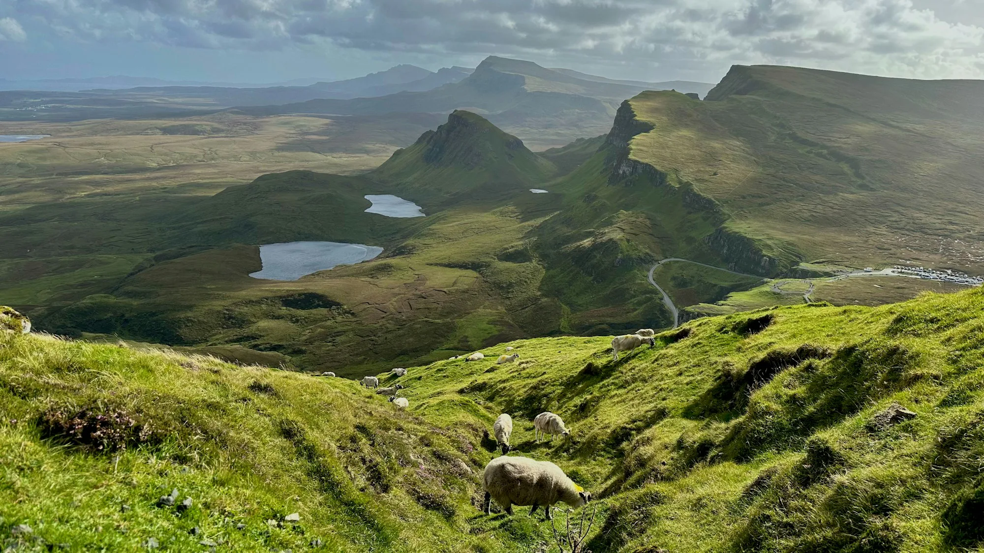 Sheep grazing on a green hillside with mountains beyond