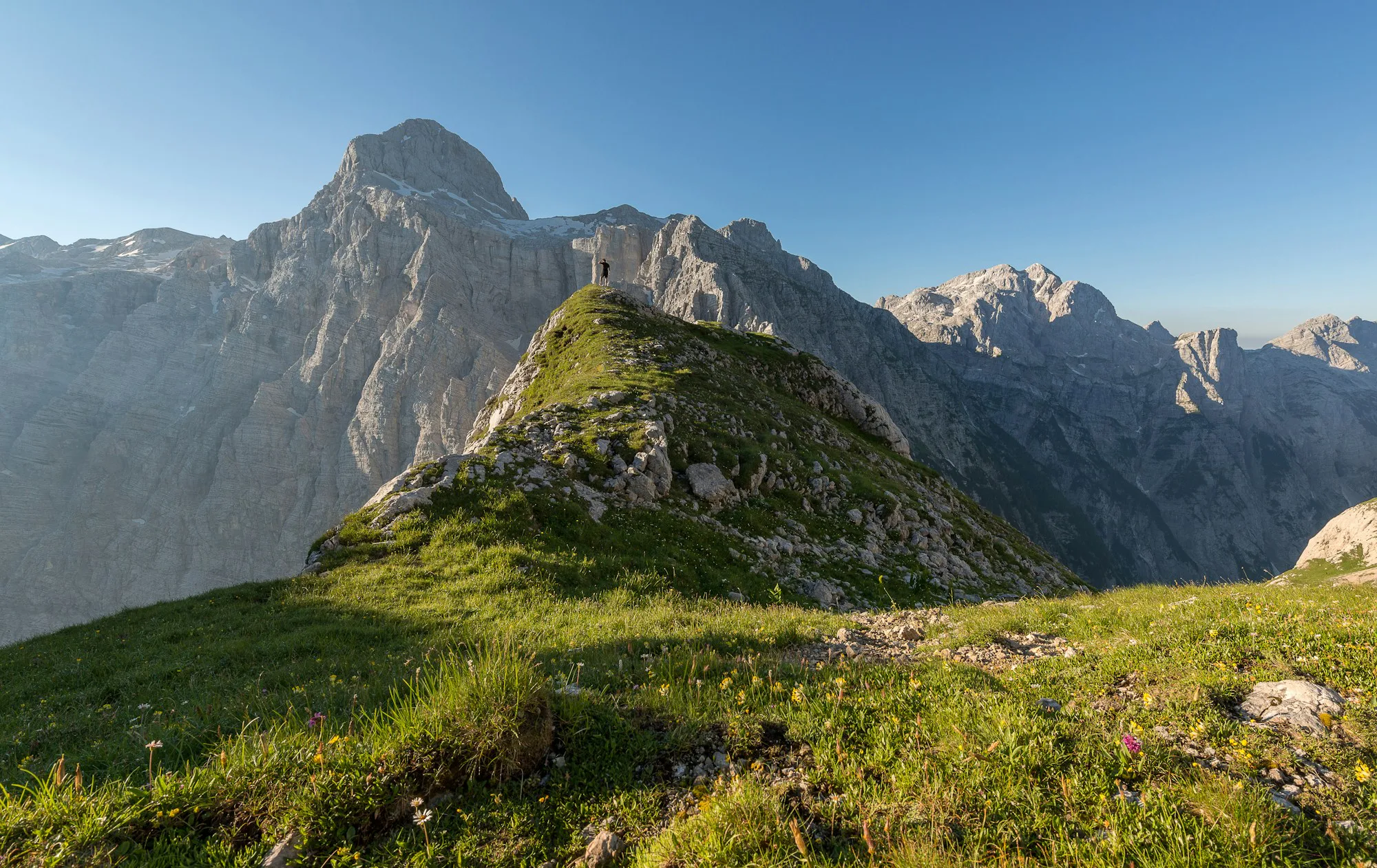 A grassy ridge below a limestone peak on a sunny day