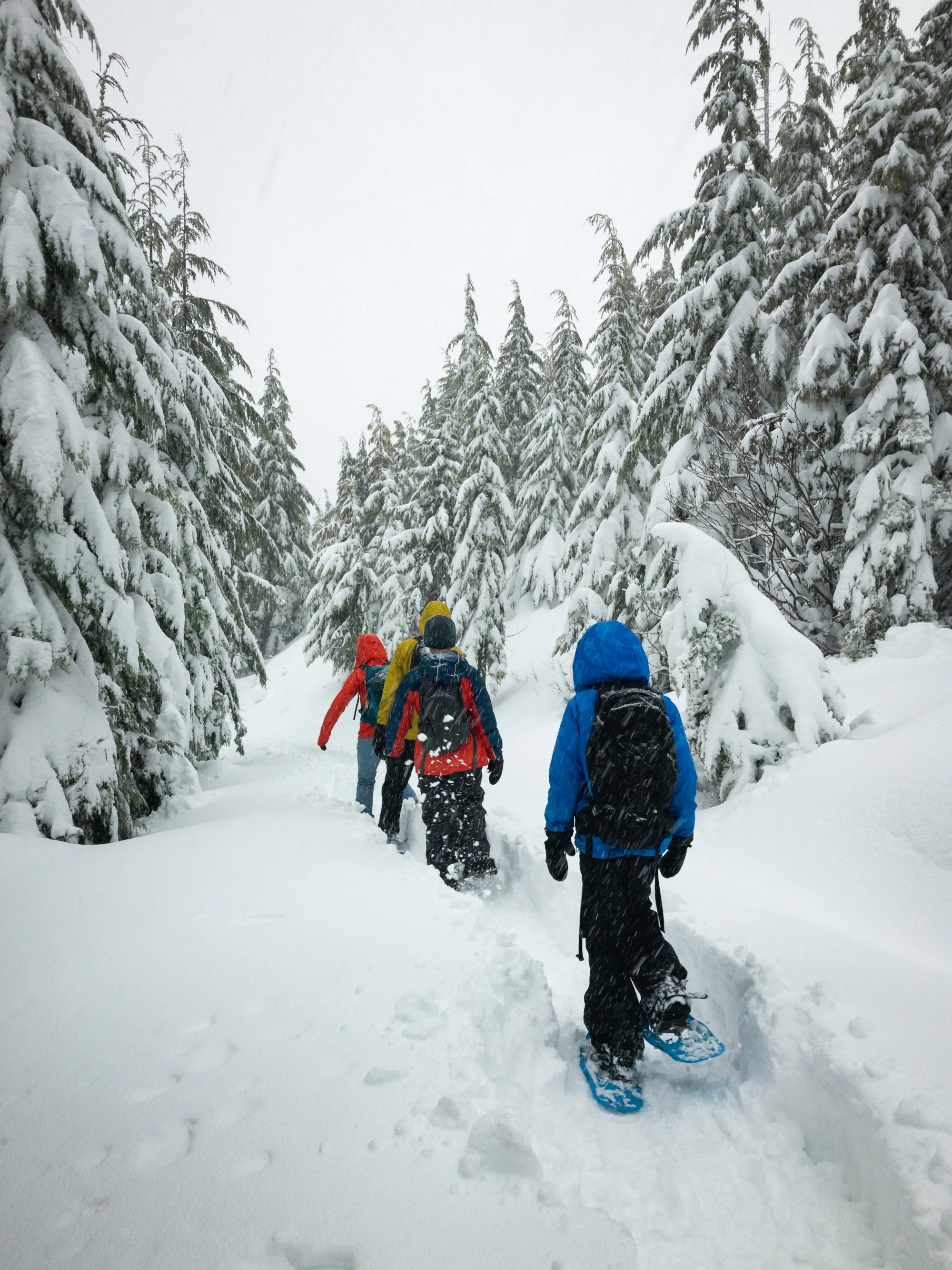 Four people walking across a snowfield