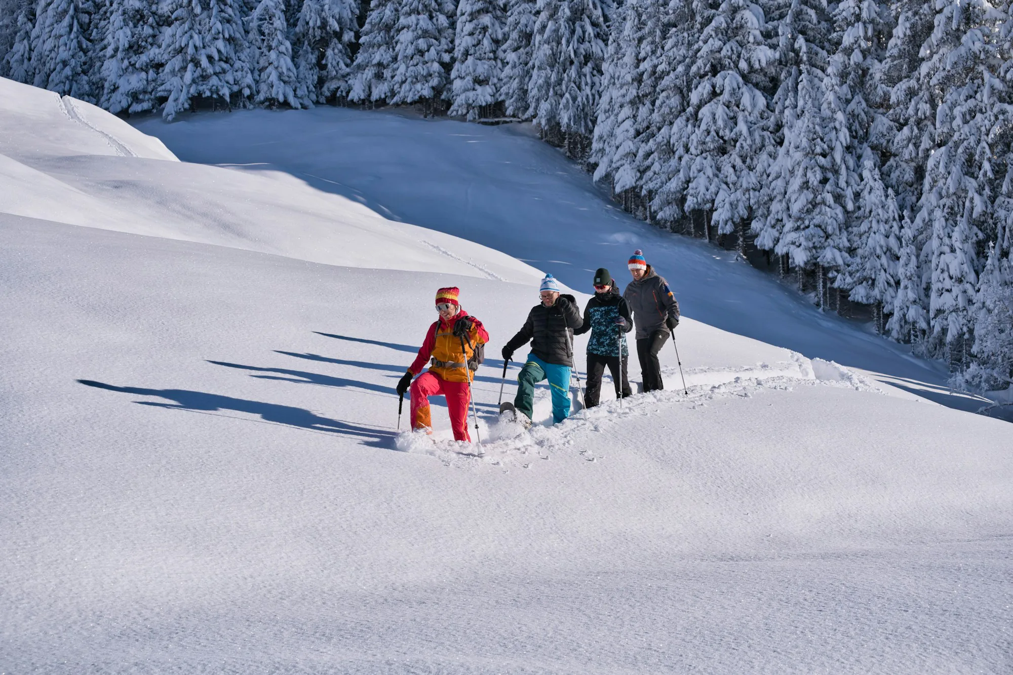 A group snowshoeing through a snowy forest