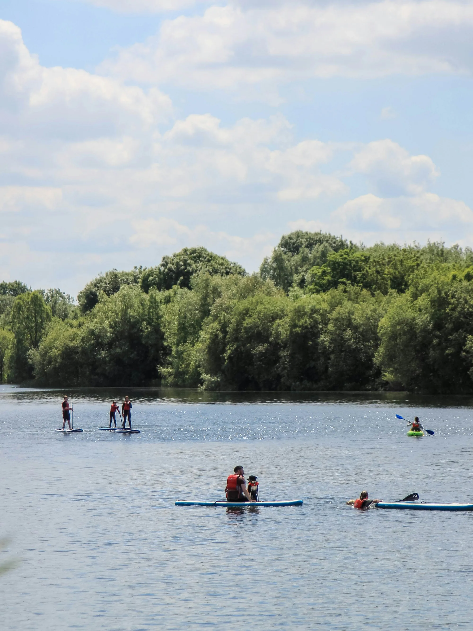 Paddleboarders and swimmers on a lake edged with trees