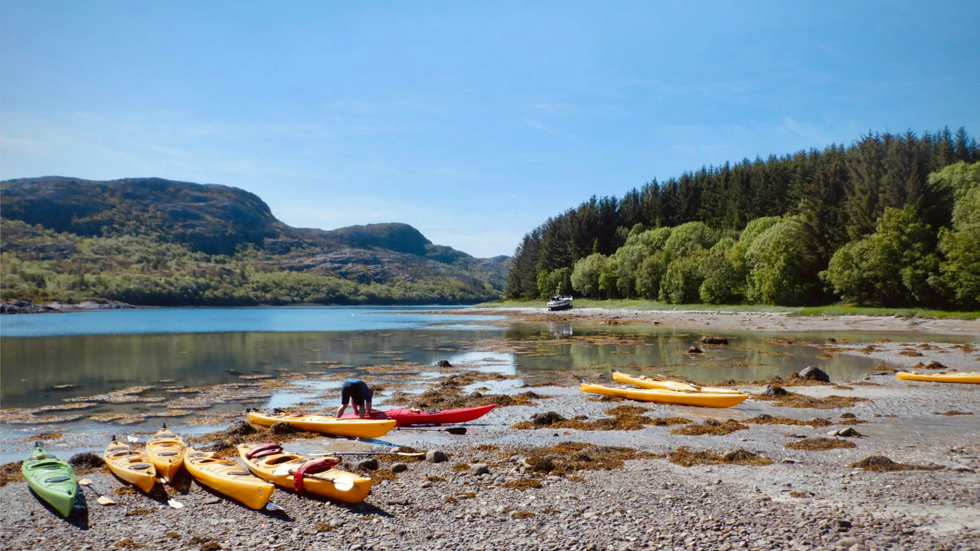 Kayaks pulled up on the shore of a lake