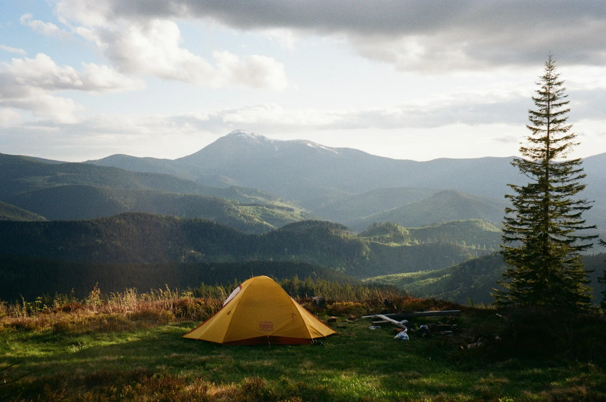 A yellow tent in a mountain valley with a pine tree beside it