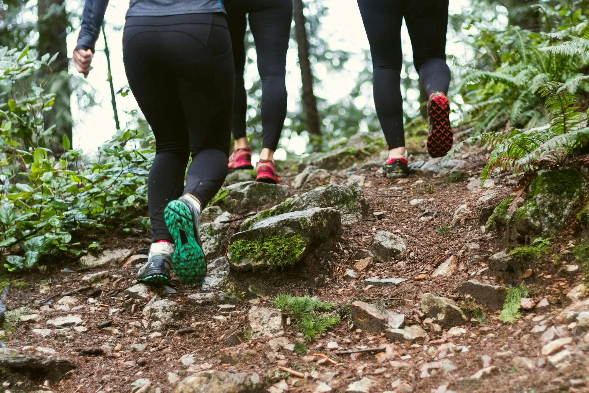 Walkers in trail shoes on a rocky forest path