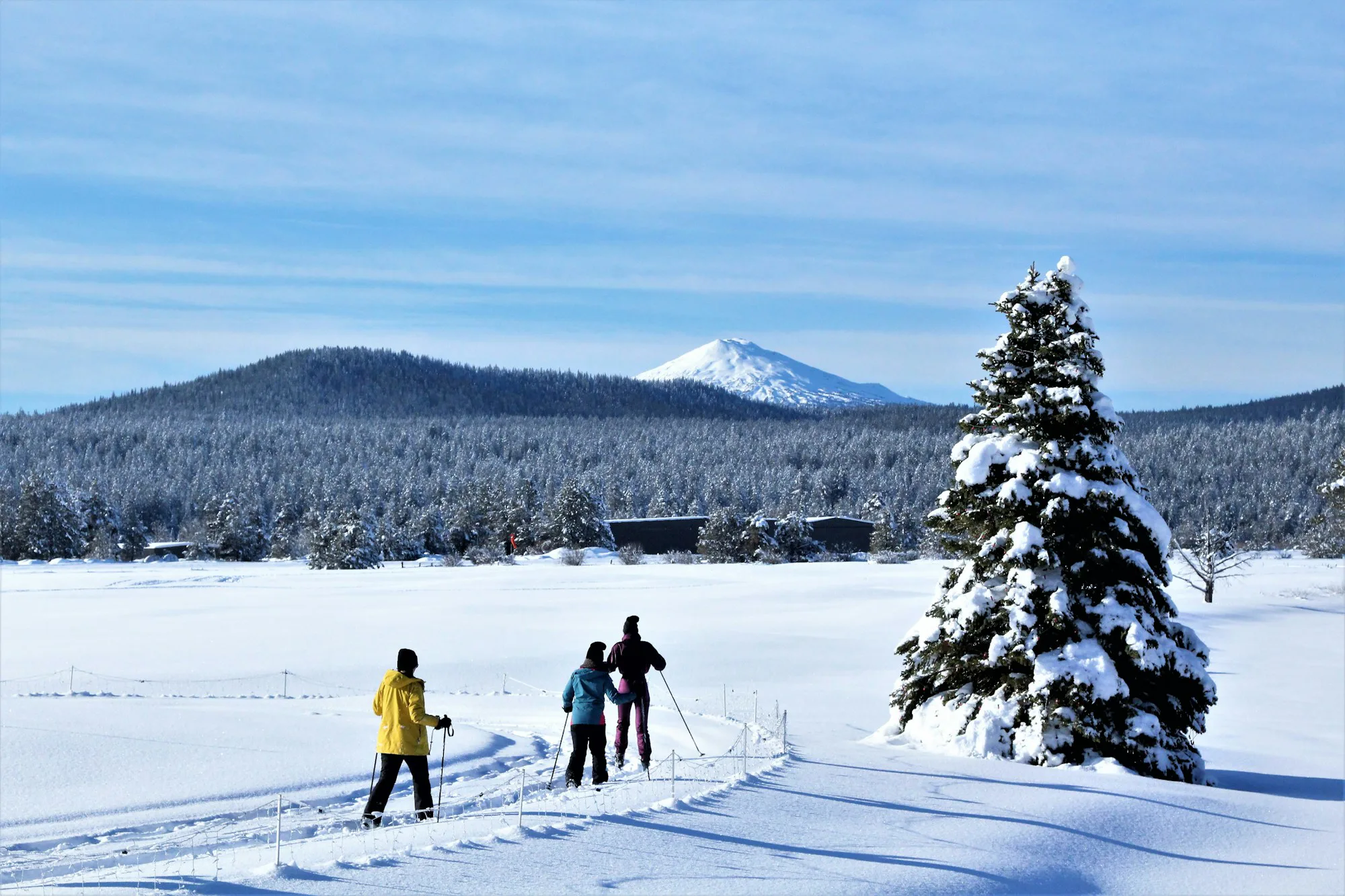 A group of cross-country skiers on open snow under a blue sky